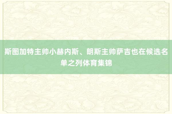 斯图加特主帅小赫内斯、朗斯主帅萨吉也在候选名单之列体育集锦