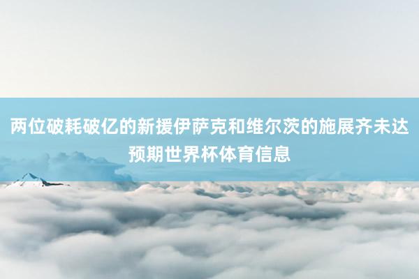 两位破耗破亿的新援伊萨克和维尔茨的施展齐未达预期世界杯体育信息