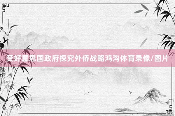 受好意思国政府探究外侨战略鸿沟体育录像/图片