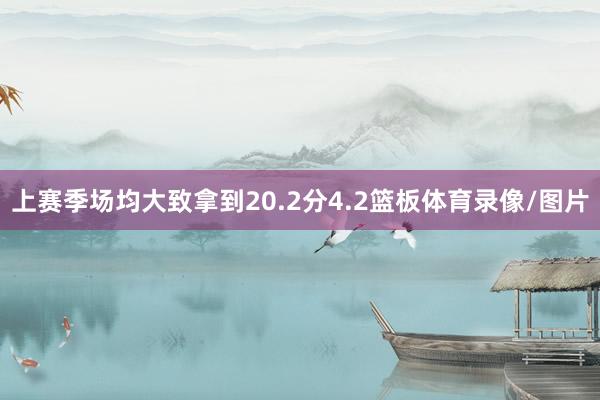 上赛季场均大致拿到20.2分4.2篮板体育录像/图片