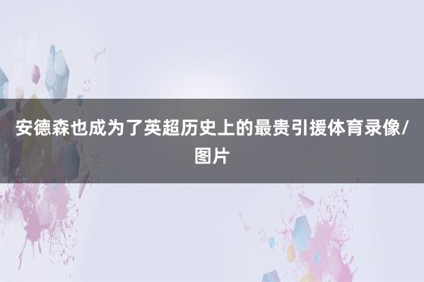 安德森也成为了英超历史上的最贵引援体育录像/图片