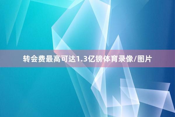 转会费最高可达1.3亿镑体育录像/图片
